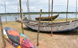 Độc đáo những bức tranh thuyền thúng